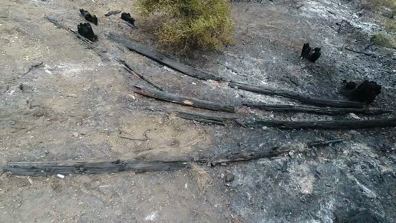 Grizzly Peak fire now 50-percent contained, Oakland Mayor applauds quick response 