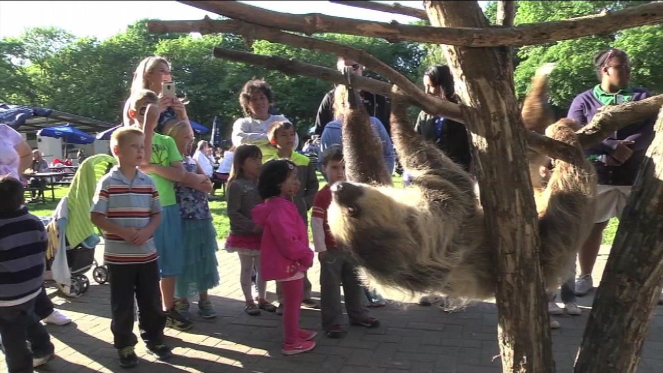 Brookfield Zoo offering free admission for kids under 11 through