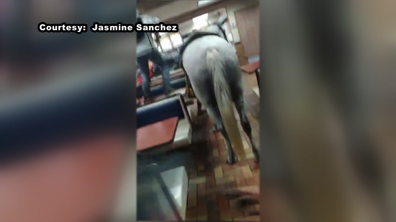 Man wearing cowboy hat rides horse into Whataburger