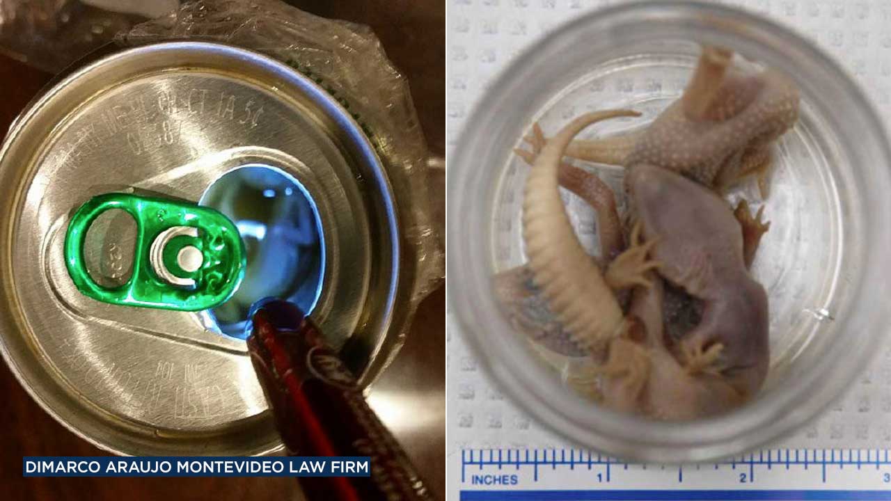 Orange County man claims he found dead geckos in beer