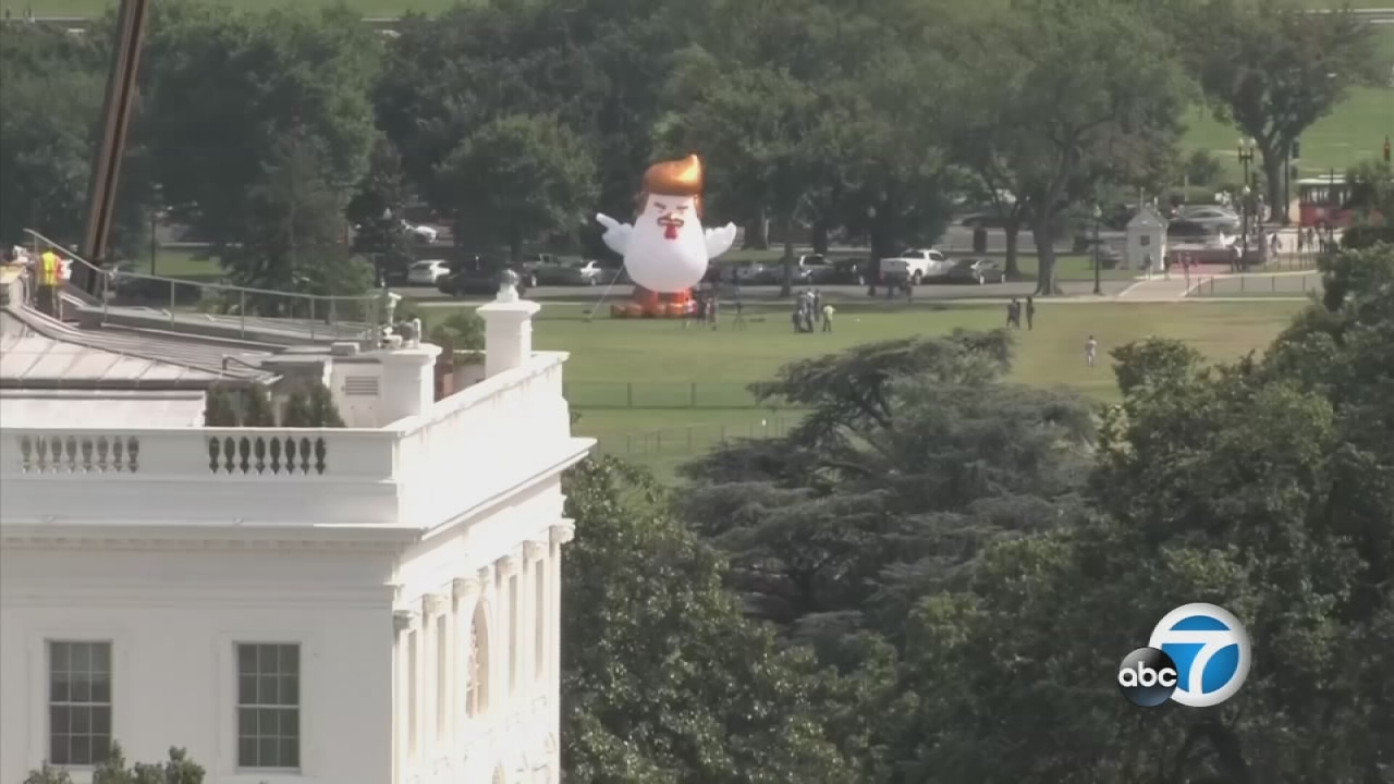 Giant inflatable chicken appears behind White House