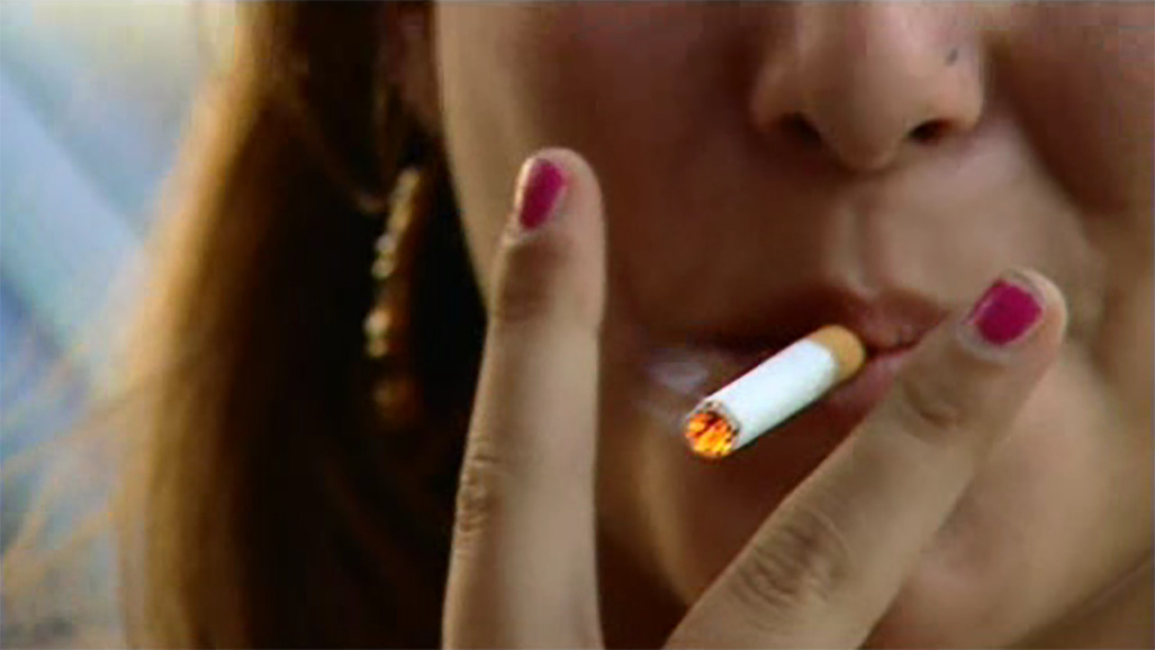 dog ate cigarettes What To Do If Your Dog Eats a Cigarette Butt?