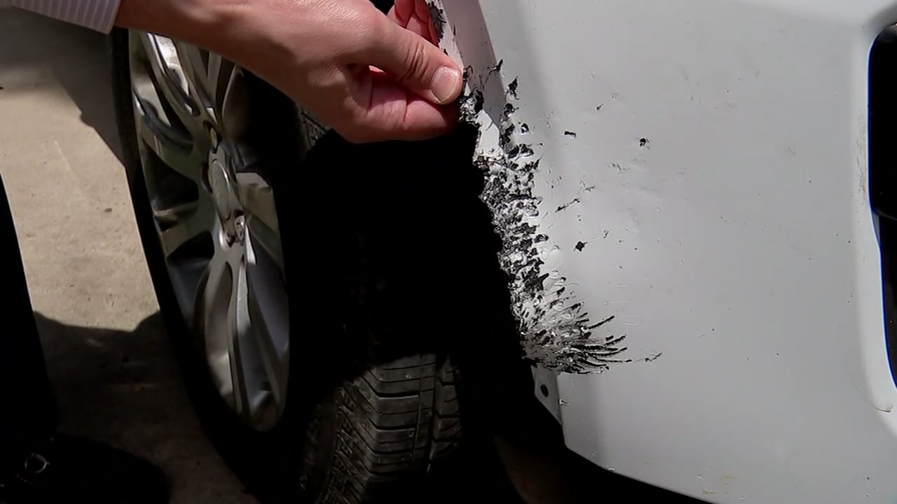 Pack of wild dogs rip into family's SUV in Bellaire