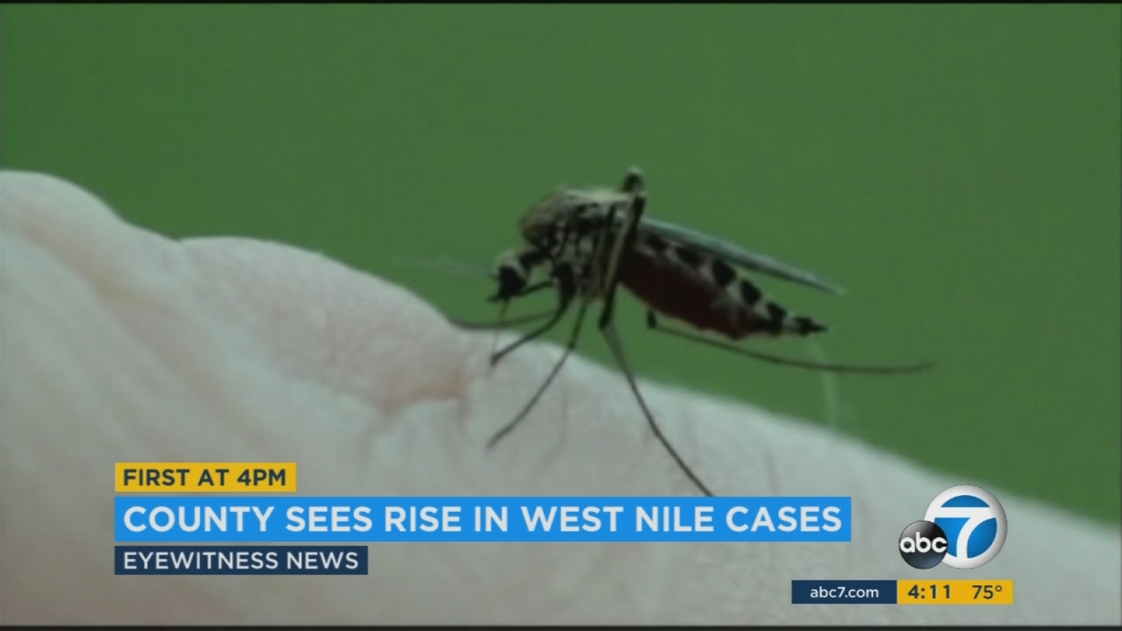 Los Angeles County seeing sharp rise in West Nile cases - ABC7 Los Angeles