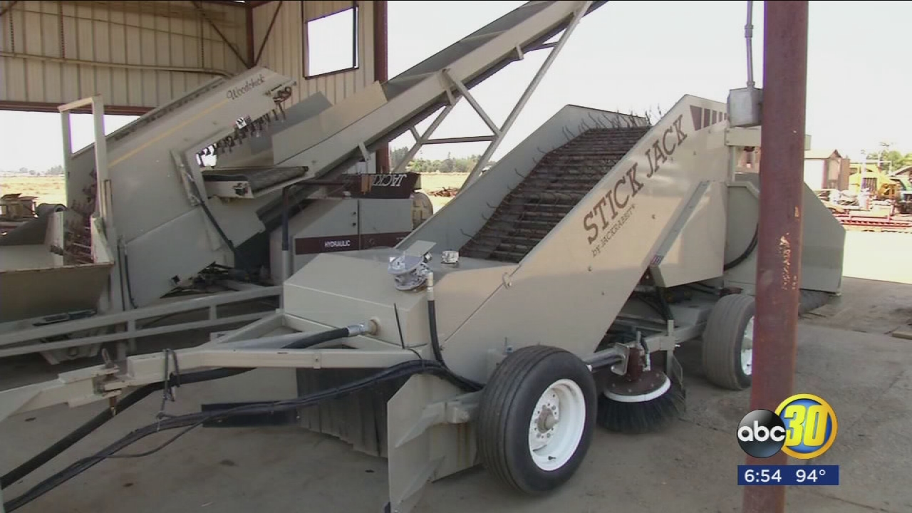 Some walnut growers choosing machine over manual labor