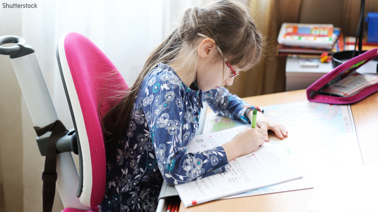 objectives of the research paper literature