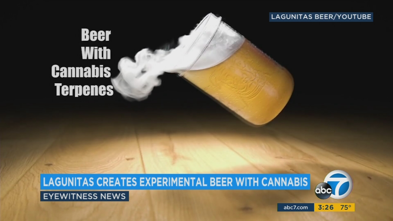 CA-based Lagunitas debuts cannabis beer