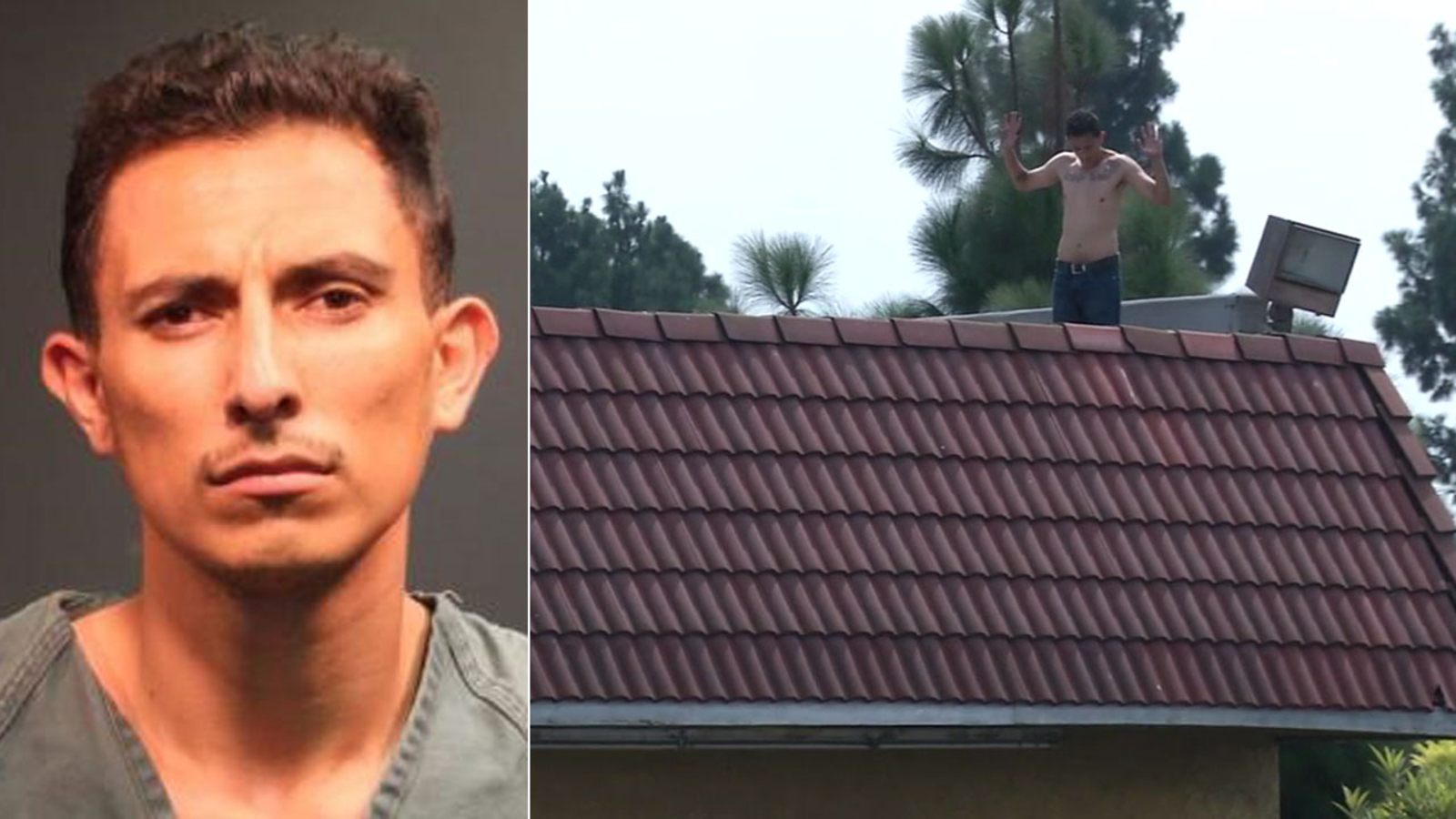 Chase Suspect Tries To Evade Police While Hiding On Santa Ana