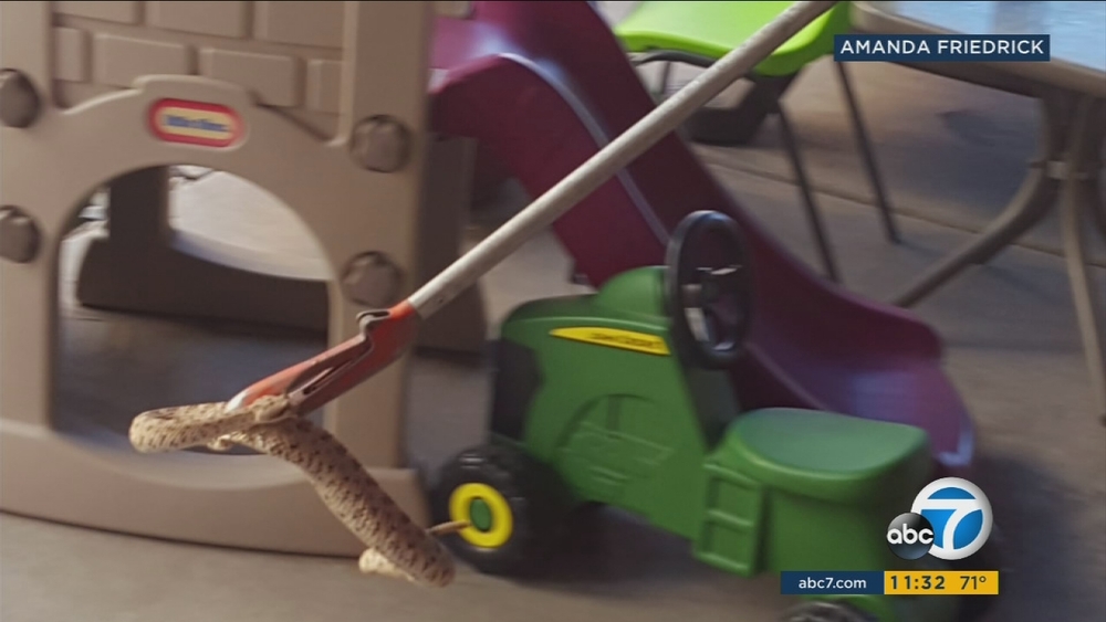 SoCal mom finds 18 rattlesnakes in children's playhouse