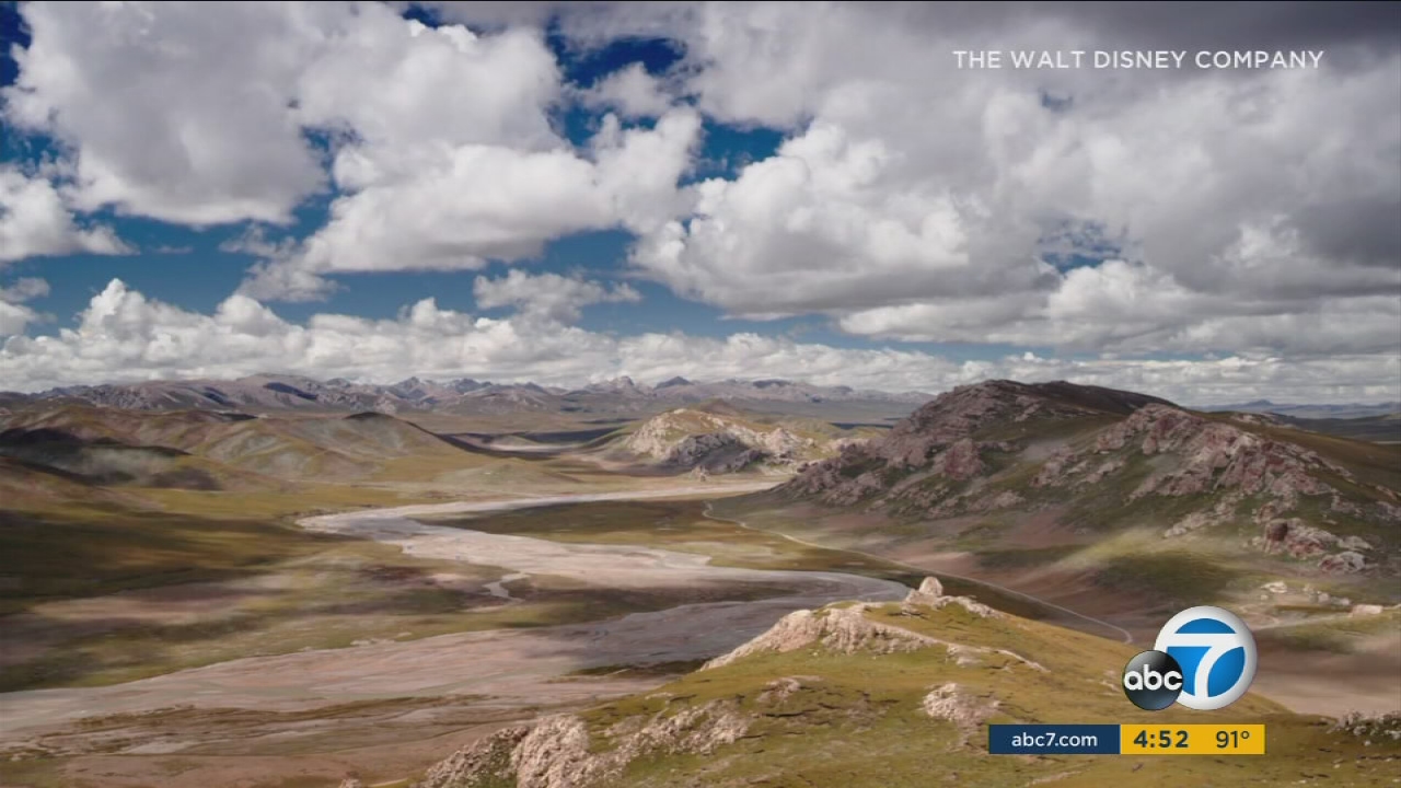 Animals charm in Disneynature's documentary 'Born in China'