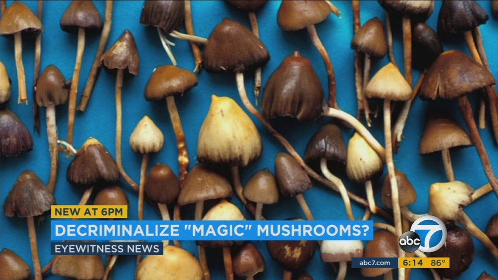 CA ballot measure seeks to legalize shrooms