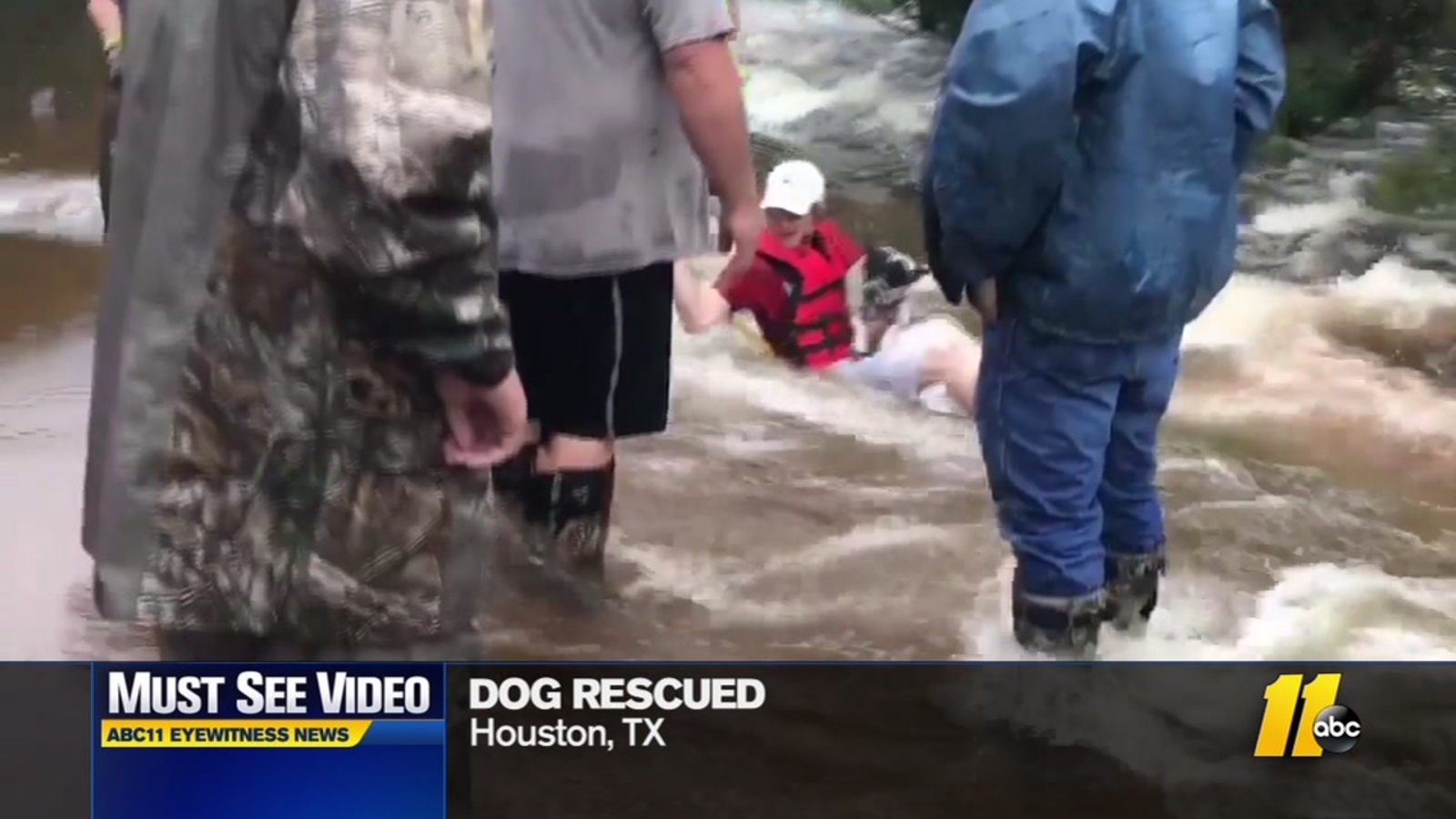 Rescuers save dog from raging flood waters in Houston - ABC11 Raleigh ...