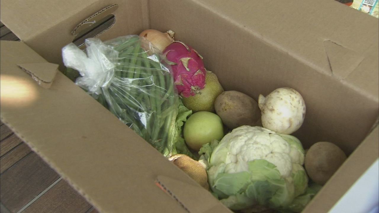 Produce delivery service fights food waste and hunger