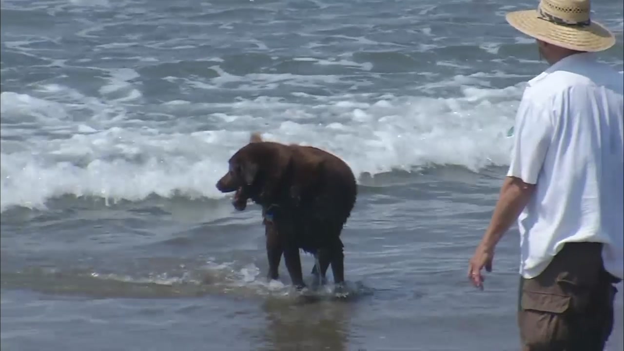 LIST: All-time record high temperatures recorded in the Bay Area