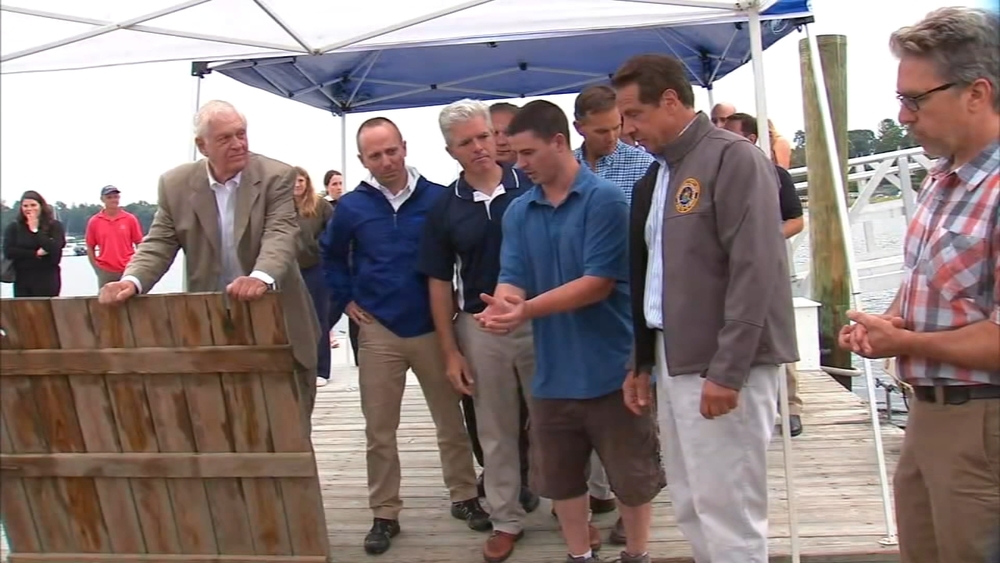NY announces plan to revive shellfish populations