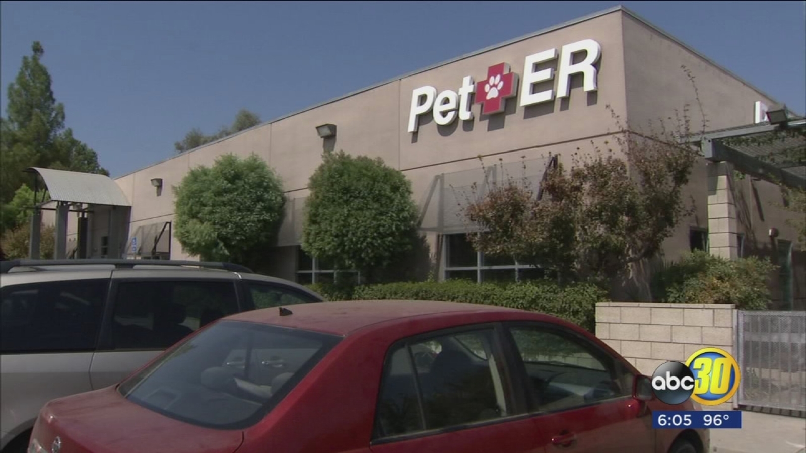 Fresno vet raising funds to help animals affected by hurricanes ABC30