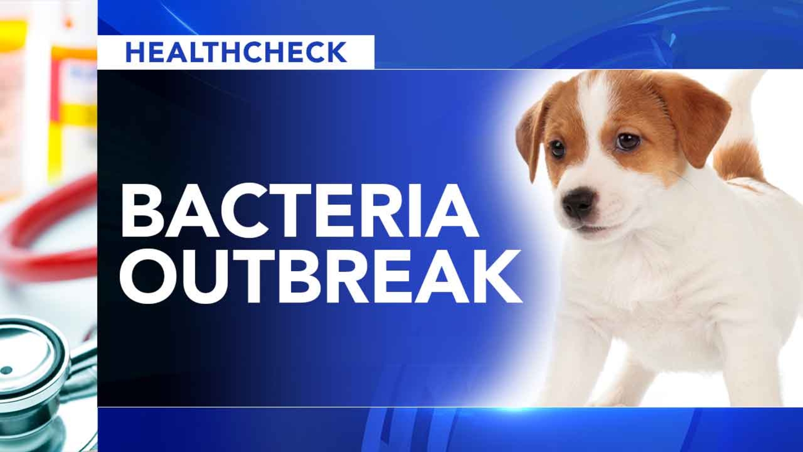 CDC Contact with some puppies may make you sick 6abc Philadelphia