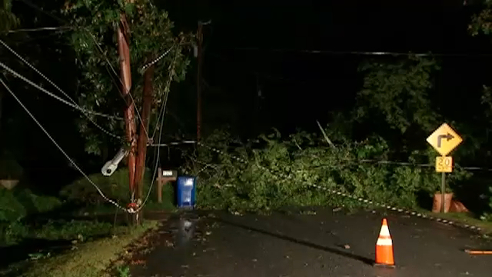Georgia feeling effects of Irma