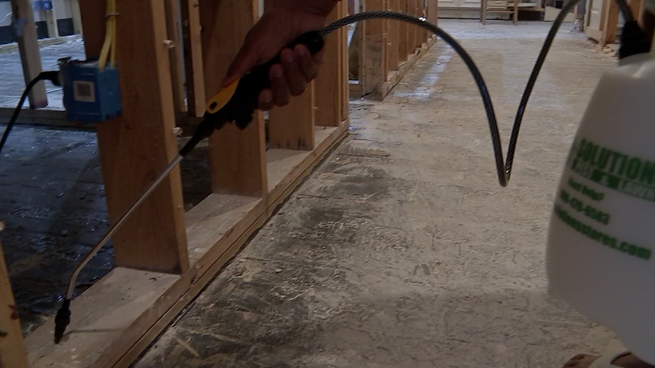 Mold remediation