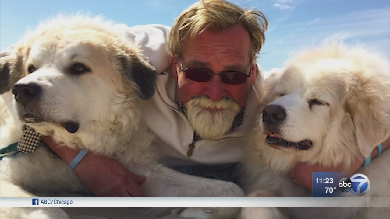 Organization raises money for research about canine cancer