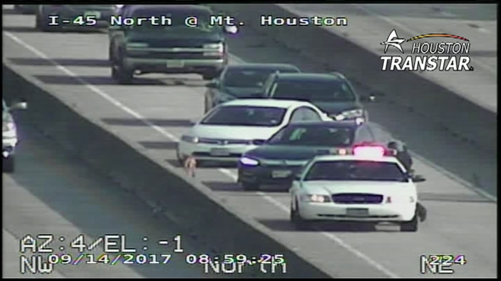 Loose dog halts traffic on North Fwy HOV Lane ABC13 Houston
