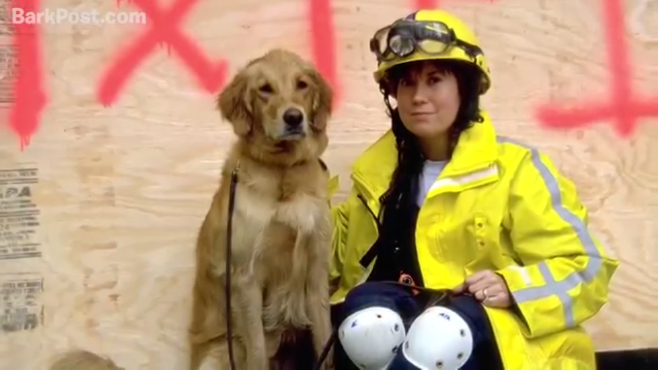 Cypress statue honors local 9/11 rescue dog