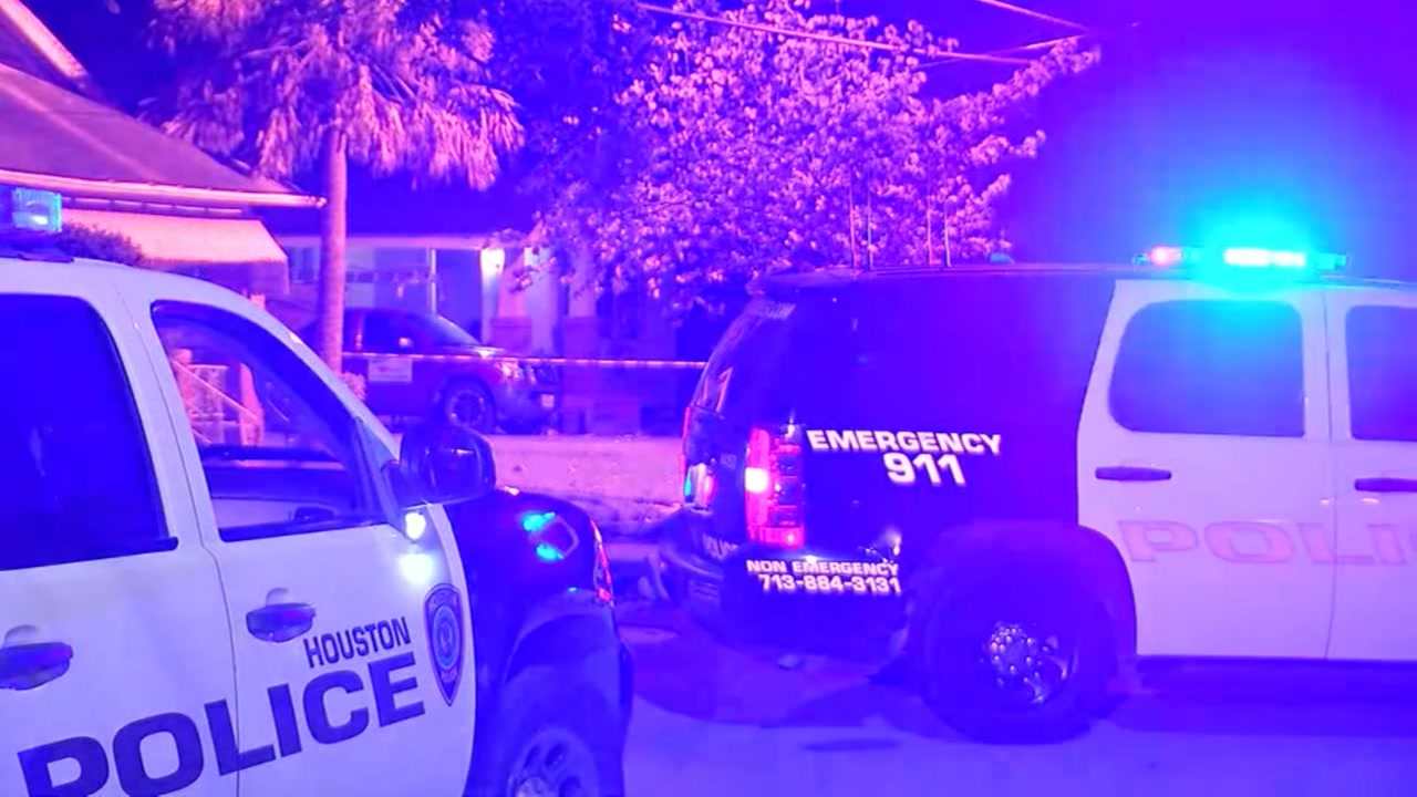 Police say woman shot her boyfriend after he hit her