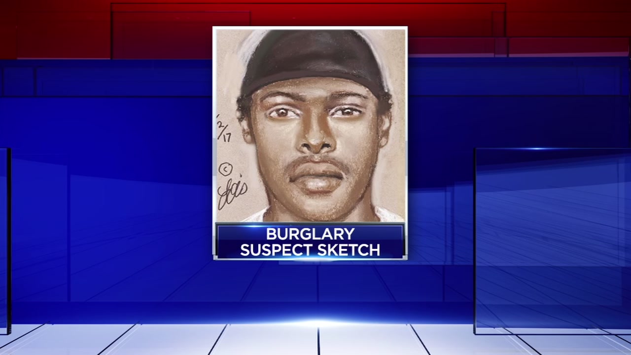 Sketch of gun store burglar released