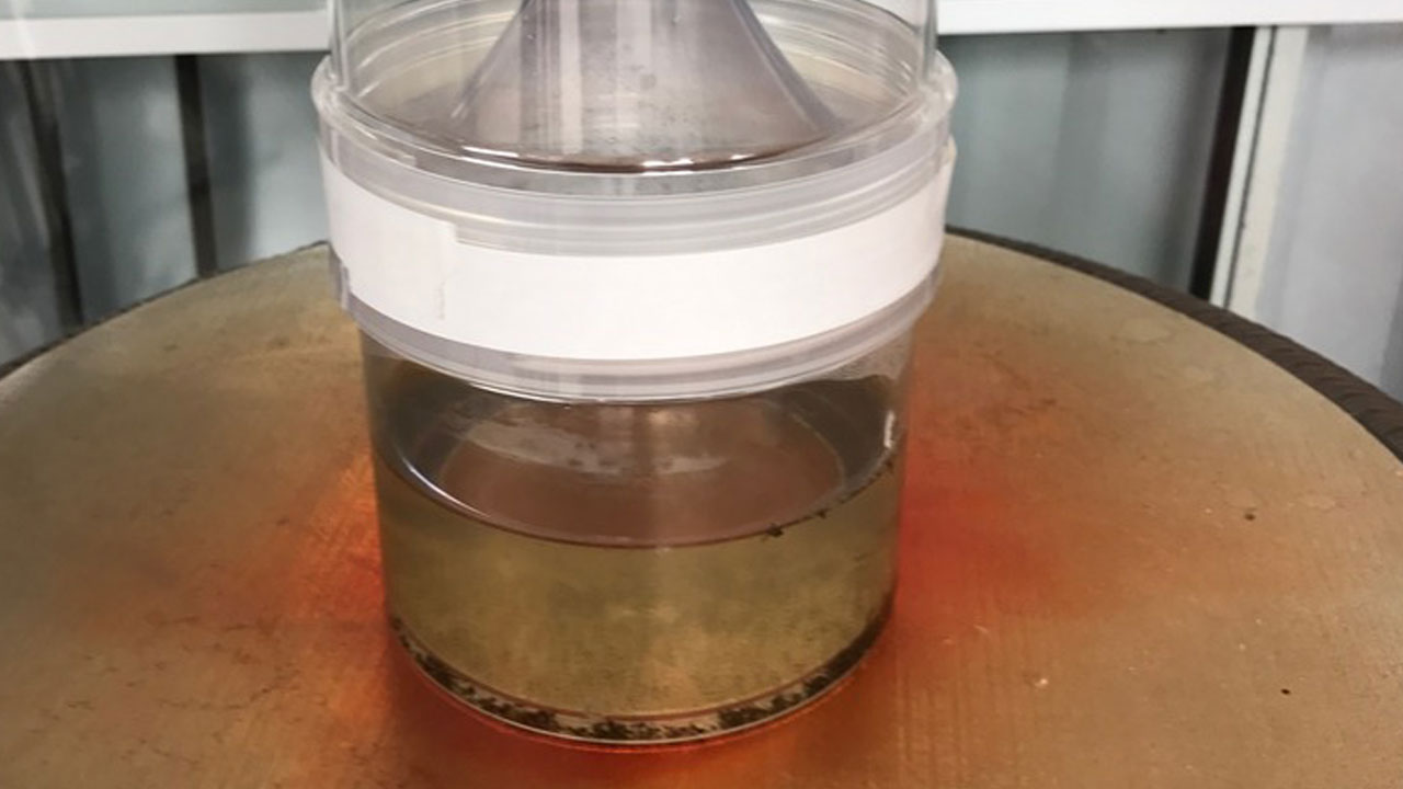 Invasive mosquito population up 330 percent in Orange County