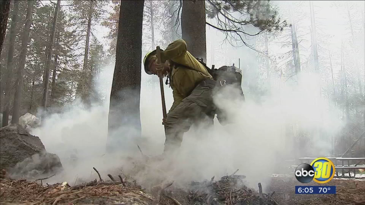 Yosemite park officials say allowing some wildfires to burn saves money while improving the forest