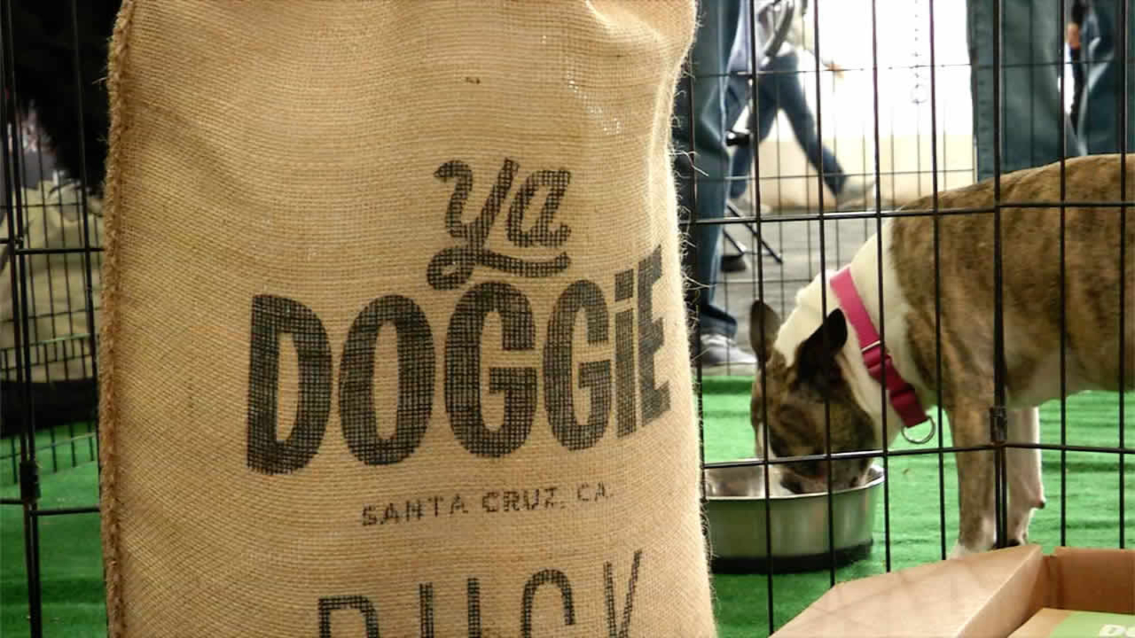 Serial tech entrepreneur launches Santa Cruz dog food company 'YaDoggie