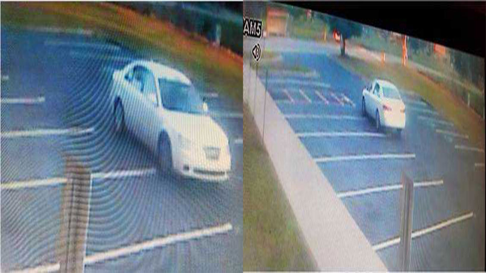 Fayetteville police investigate rape that took place in broad daylight ...