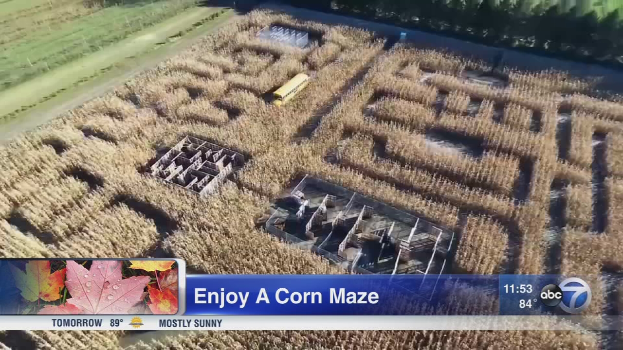 Illinois Fall Travel Ideas