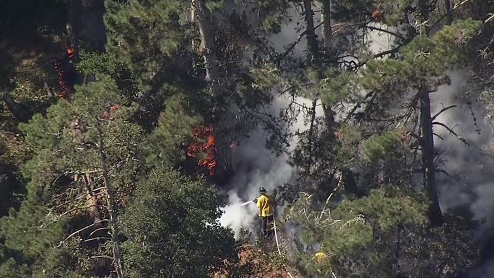 SFFD working to contain brush fire at McLaren Park 