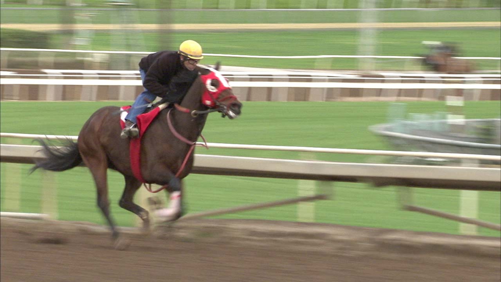 santa-anita-park-kicks-off-autumn-racing-season-abc7-los-angeles