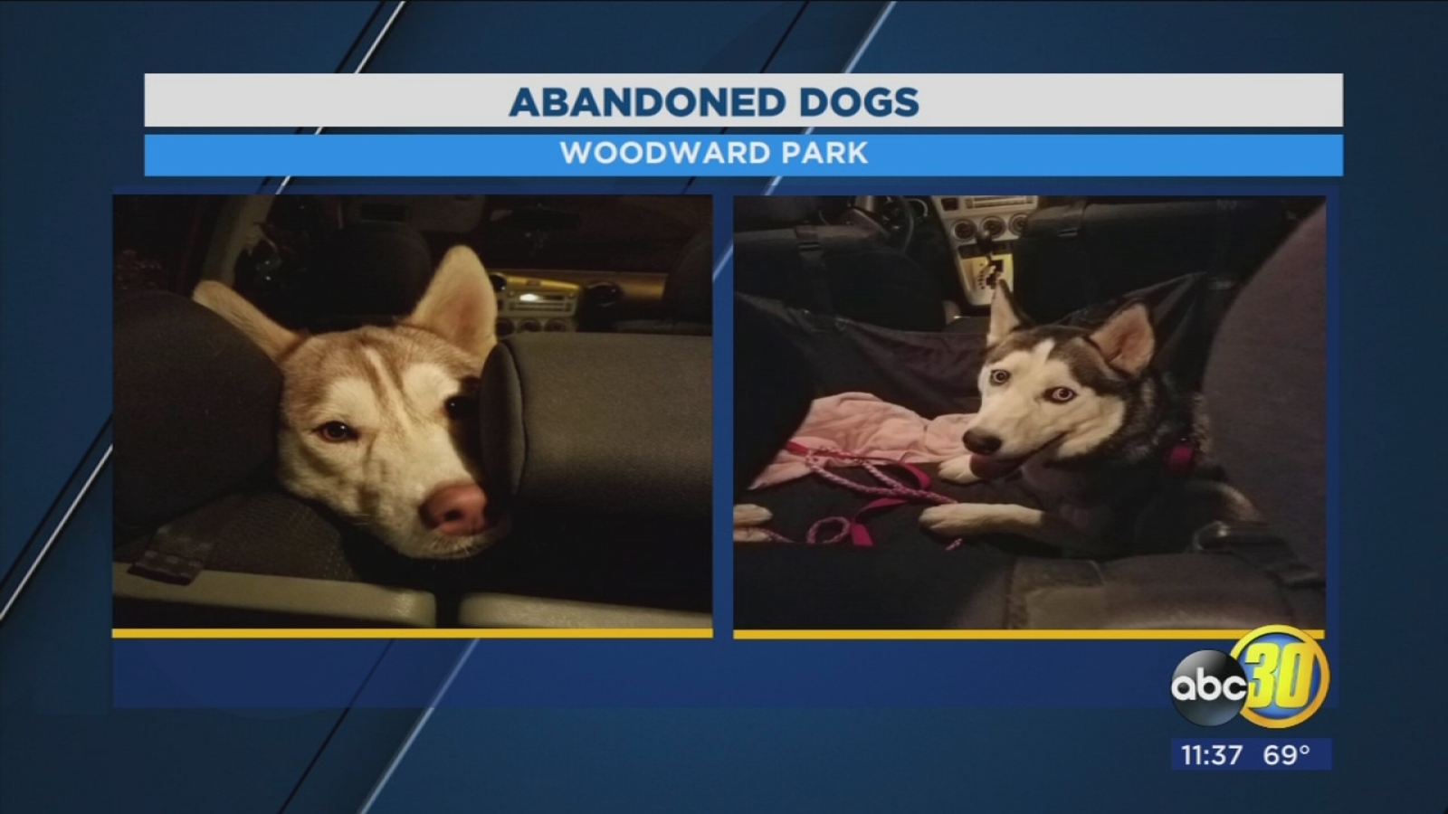 2 huskies found abandoned with note at Woodward Park in Fresno ...