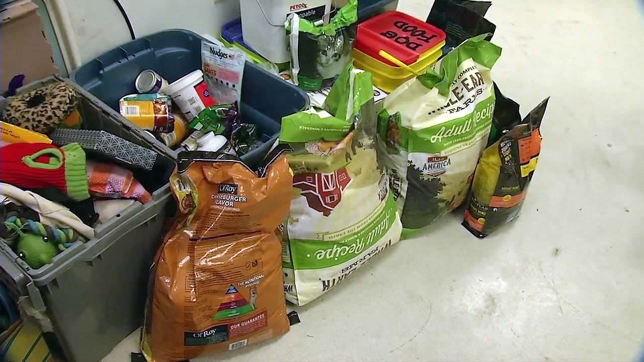 Napa animal shelter becomes save haven for pets during raging wildfires