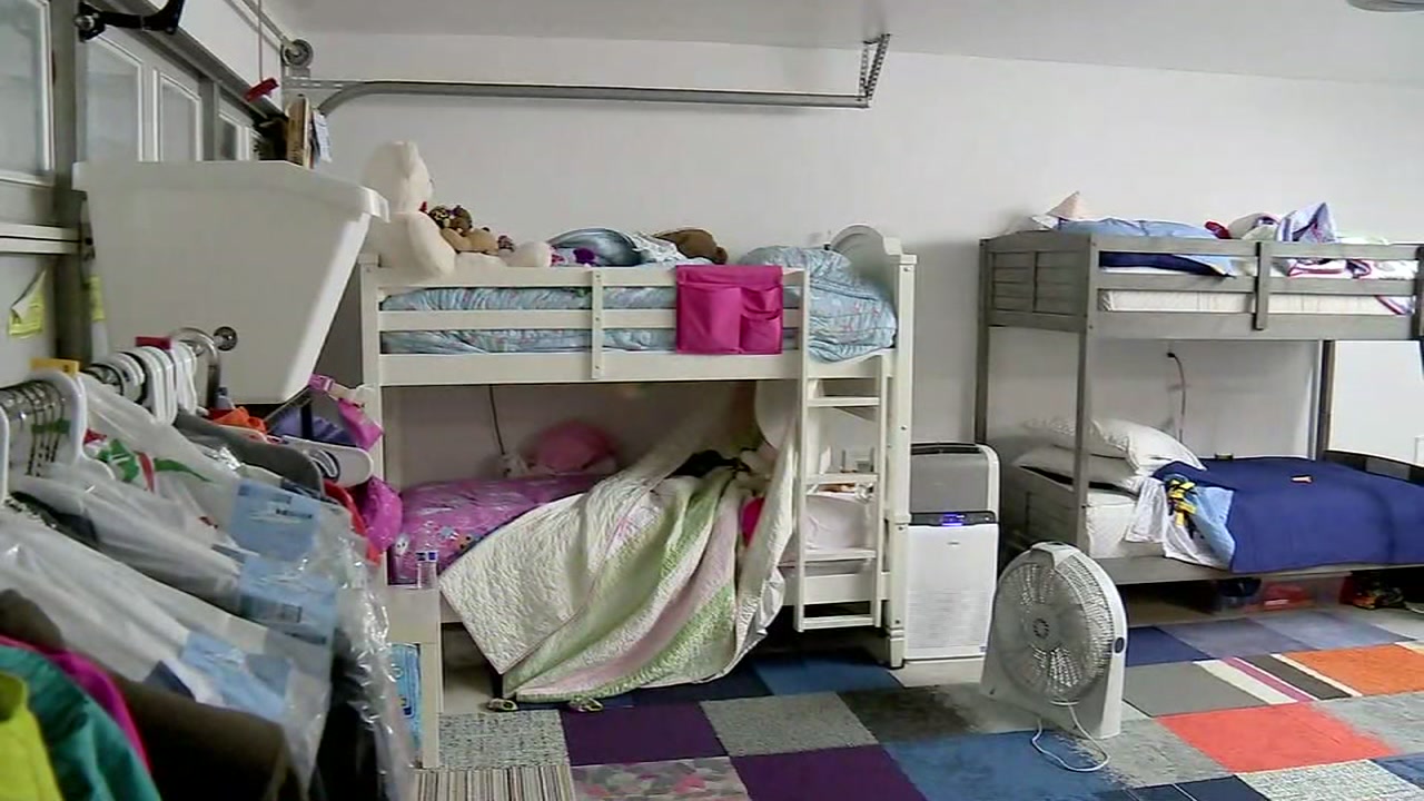 harveys bunk beds