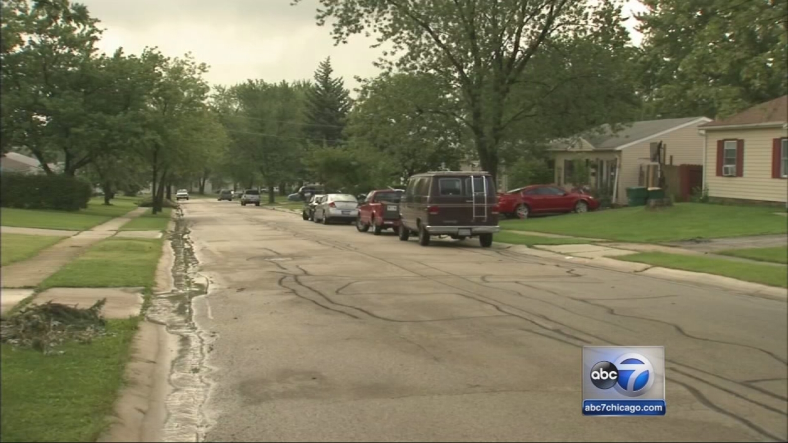 Romeoville man Richard Pollack dies after beating on Tallman; Mark