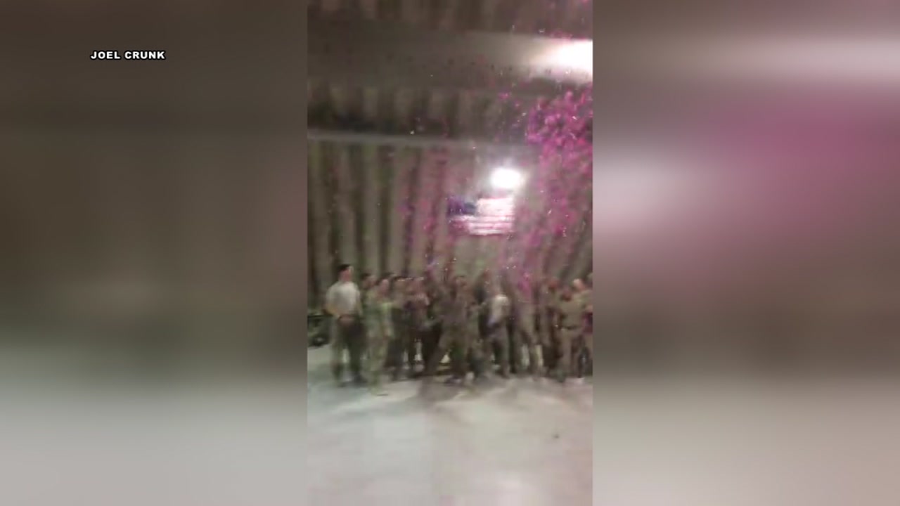 Military army reveal
