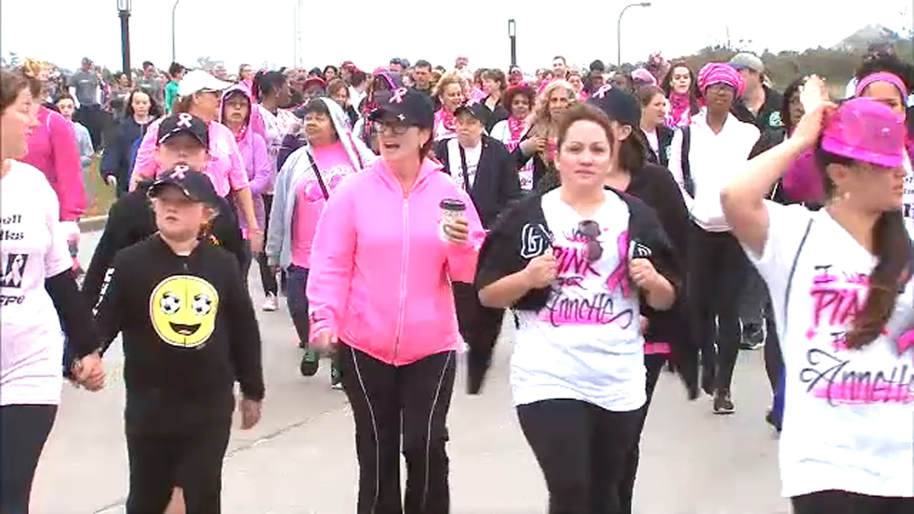 Making Strides Against Breast Cancer walk