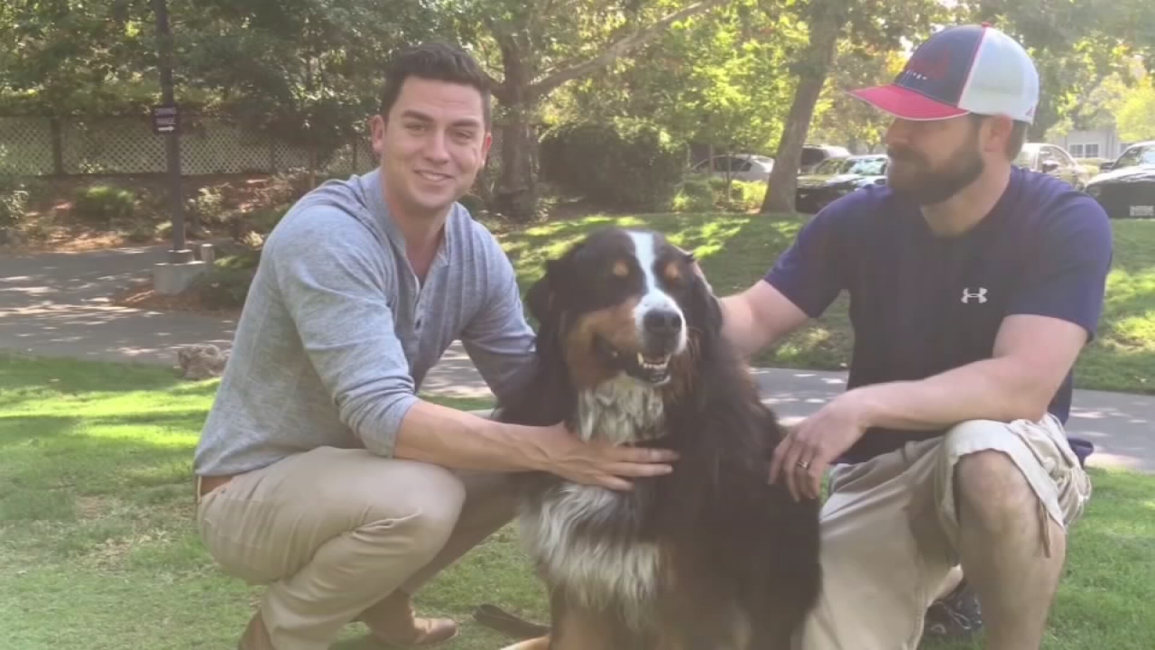 Family reunited with dog after devastating California wildfire
