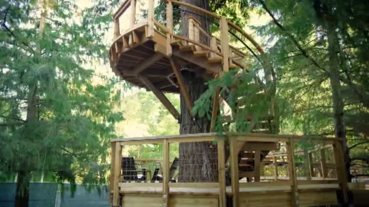 Microsoft treehouse serves as meeting room for employees
