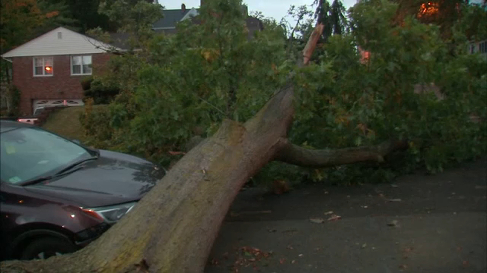 Strong winds bring down trees, power lines in New York area - ABC7 New York