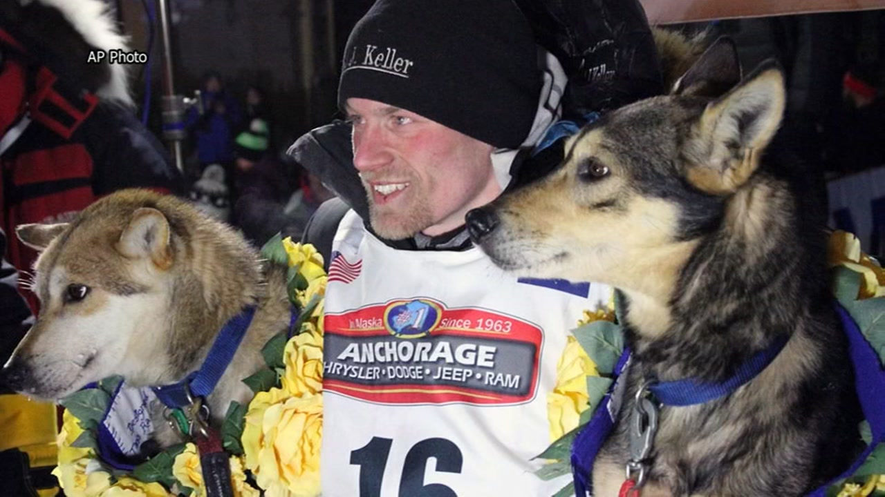 Four-time Iditarod winner denies giving dogs banned pain killer