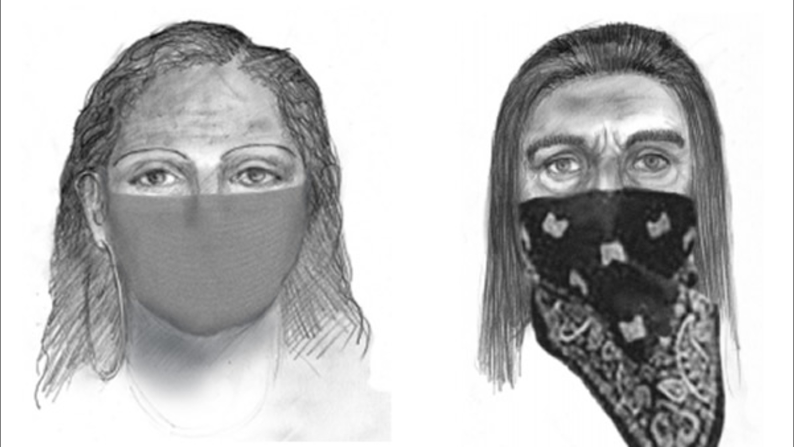 Sketches, 911 call released in Sherri Papini kidnapping case ABC7 Chicago