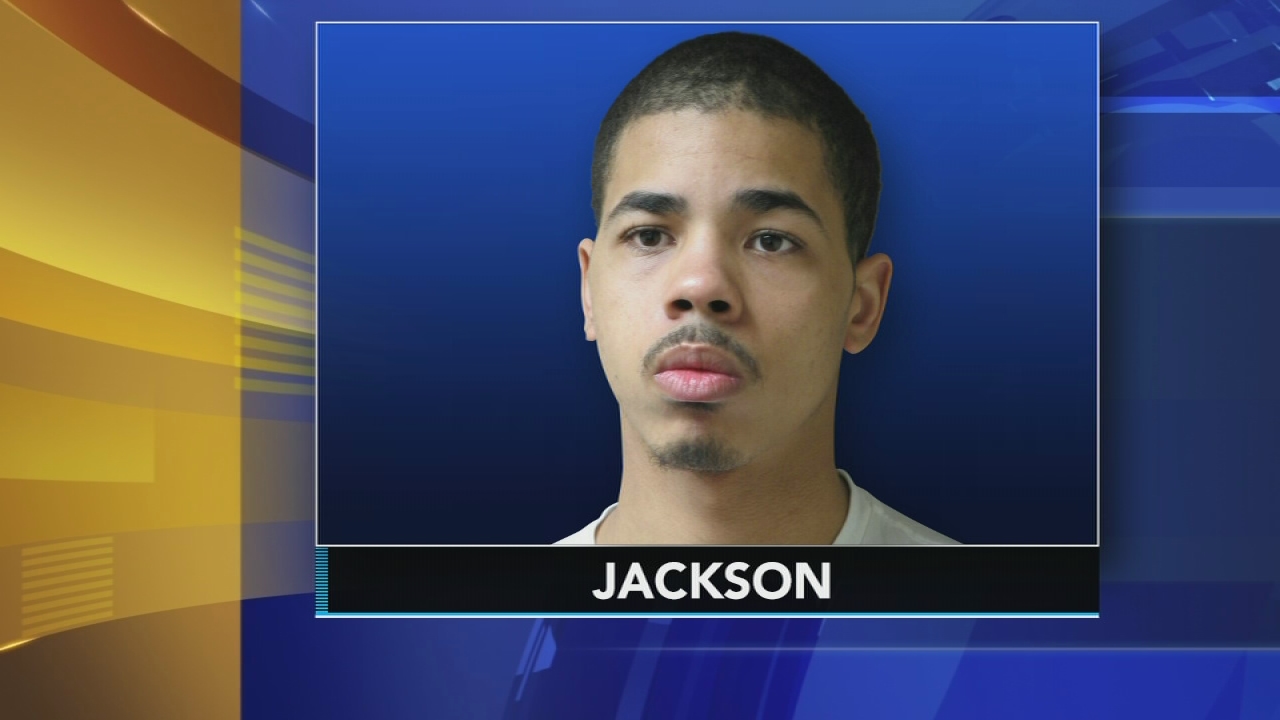 Police: Carjacker steals 2 vehicles at gunpoint