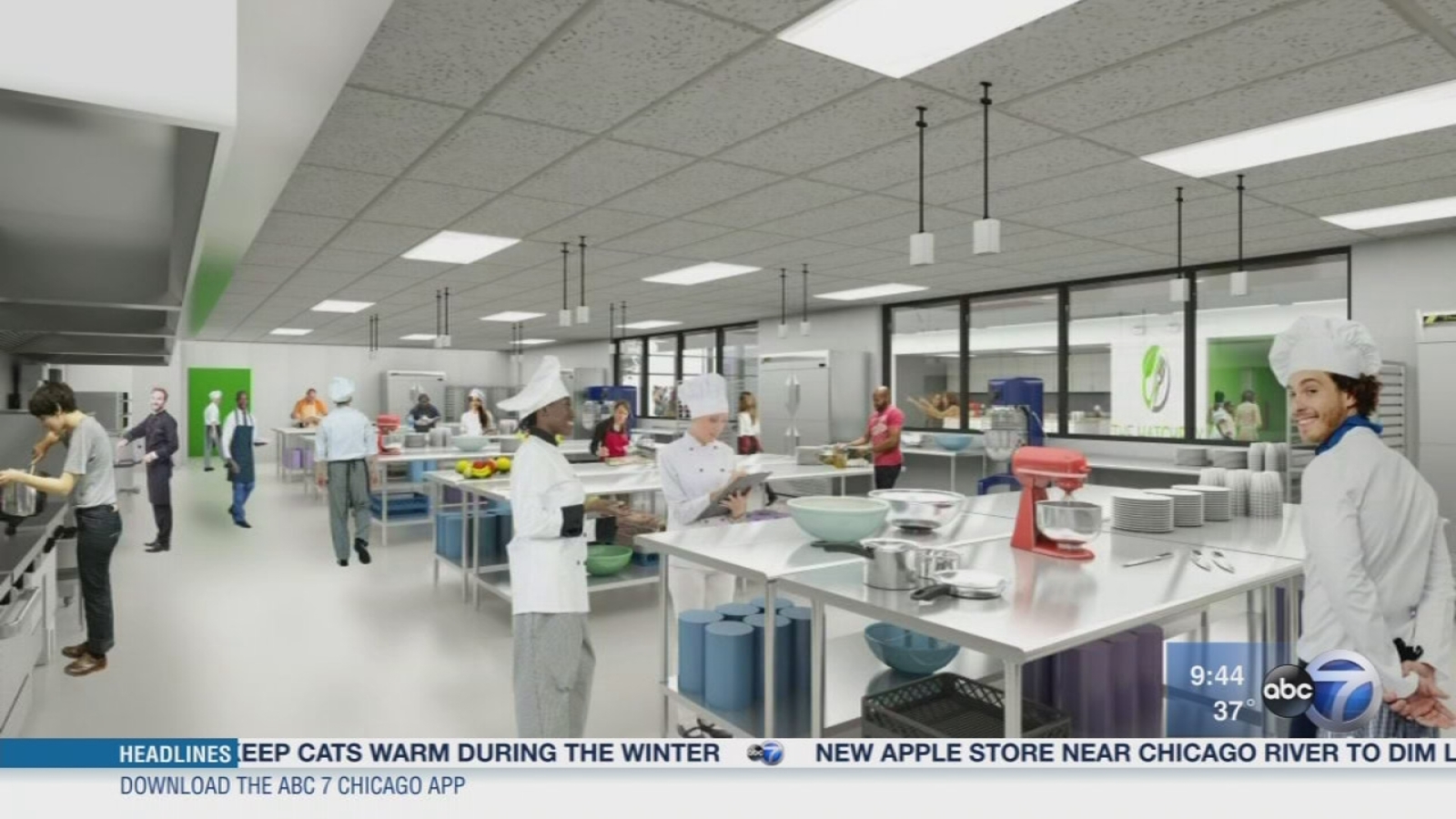 Newsviews The Hatchery Abc7 Chicago