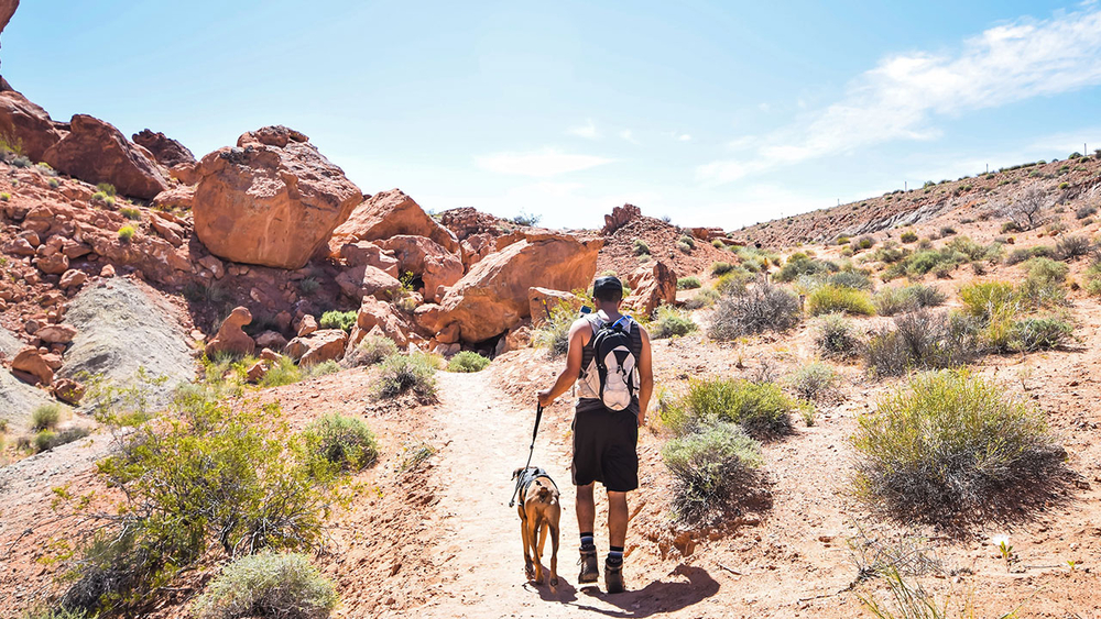 REI will not sell anything on Black Friday