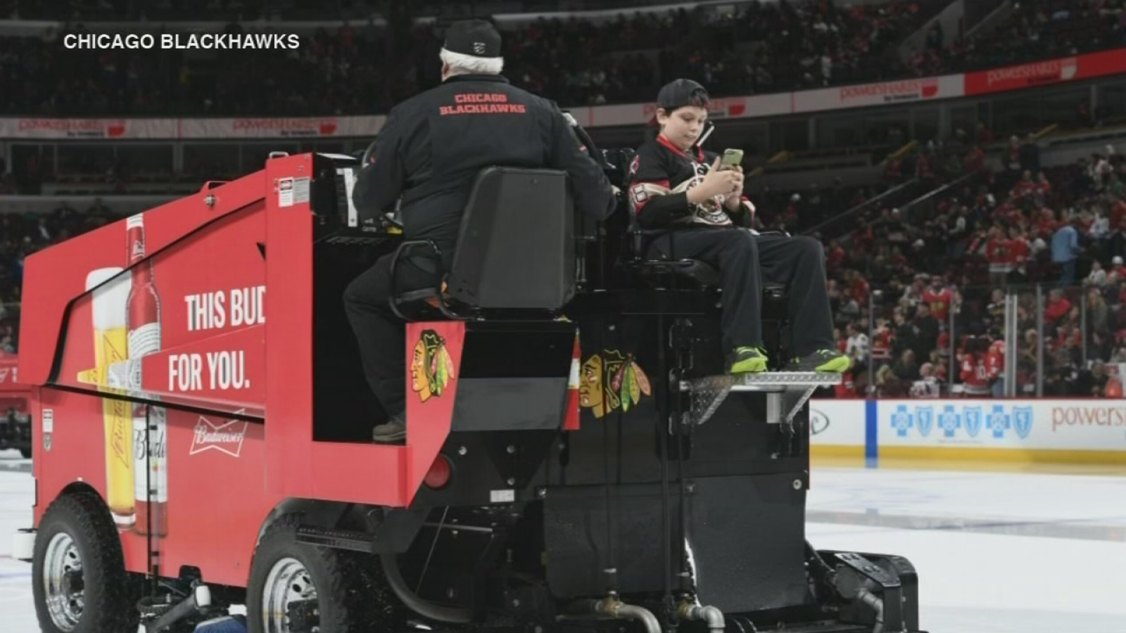 Boy with Zamboni costume on Halloween rides real one at United Center